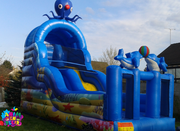 Toboggan Yonne (89) et Seine et Marne (77) - Anim en Délire