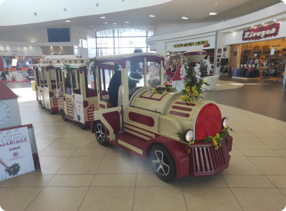 Petit Train Yonne (89) et Seine et Marne (77) - Anim en Délire