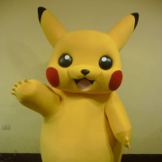 Pikachu Yonne (89) et Seine et Marne (77) - Anim en Délire