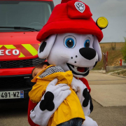 Pat Patrouille Yonne (89) et Seine et Marne (77) - Anim en Délire