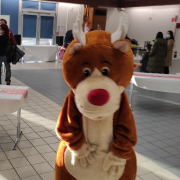 Renne Yonne (89) et Seine et Marne (77) - Anim en Délire