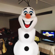 Olaf Yonne (89) et Seine et Marne (77) - Anim en Délire