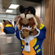 La Bête Yonne (89) et Seine et Marne (77) - Anim en Délire