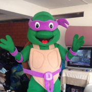 Tortue Ninja Yonne (89) et Seine et Marne (77) - Anim en Délire