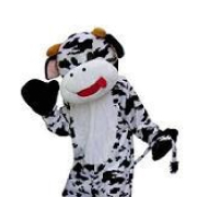 Vache Yonne (89) et Seine et Marne (77) - Anim en Délire